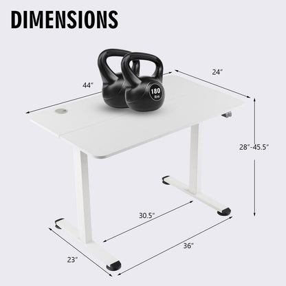 Electric Standing Desk Adjustable Stand up Computer Desk Anti-collision, White - Gallery Canada