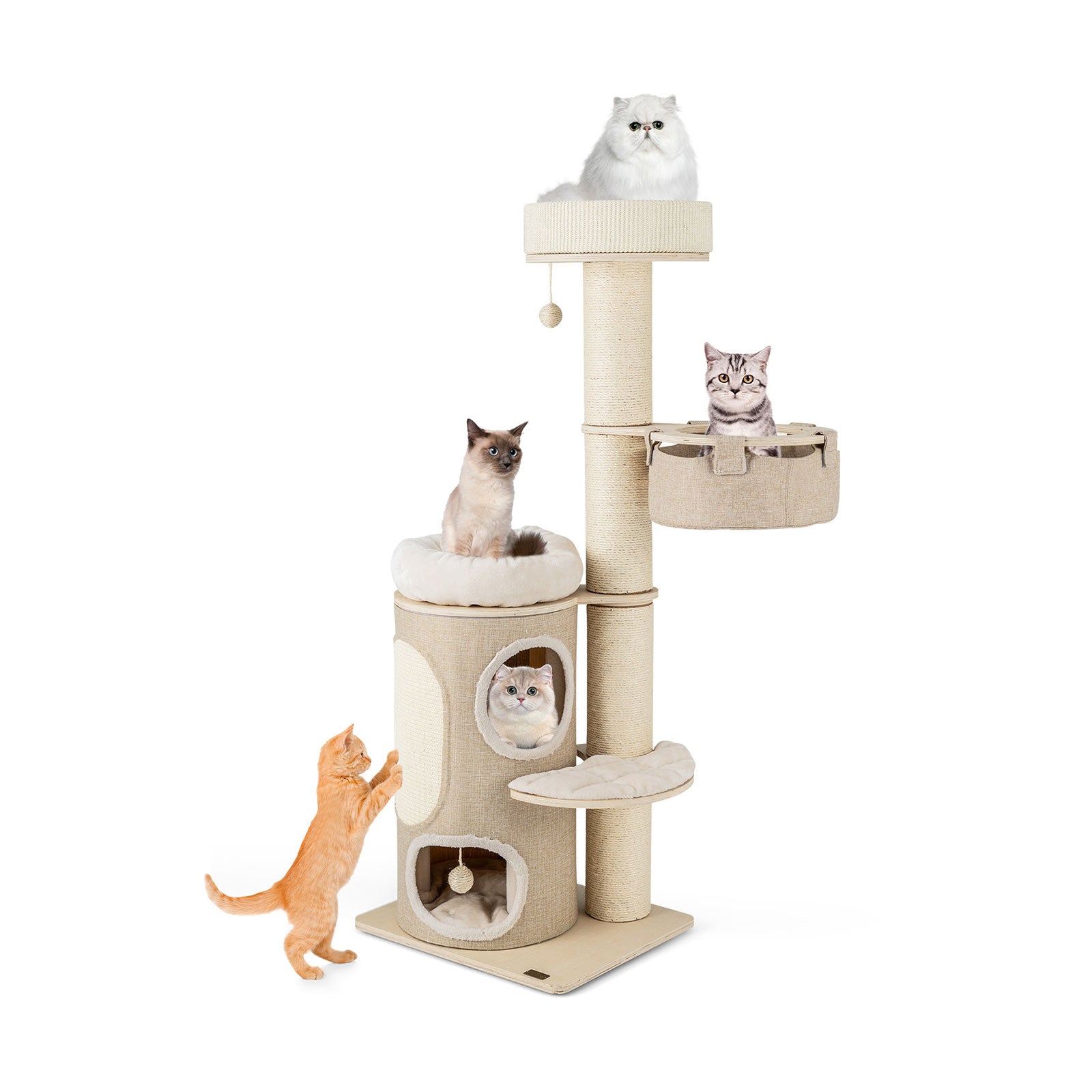 61 Inches Cat Tree for Indoor Cats with 2-stoery Condo and Top Perch, Natural Cat Trees Condos & Scratchers at Gallery Canada