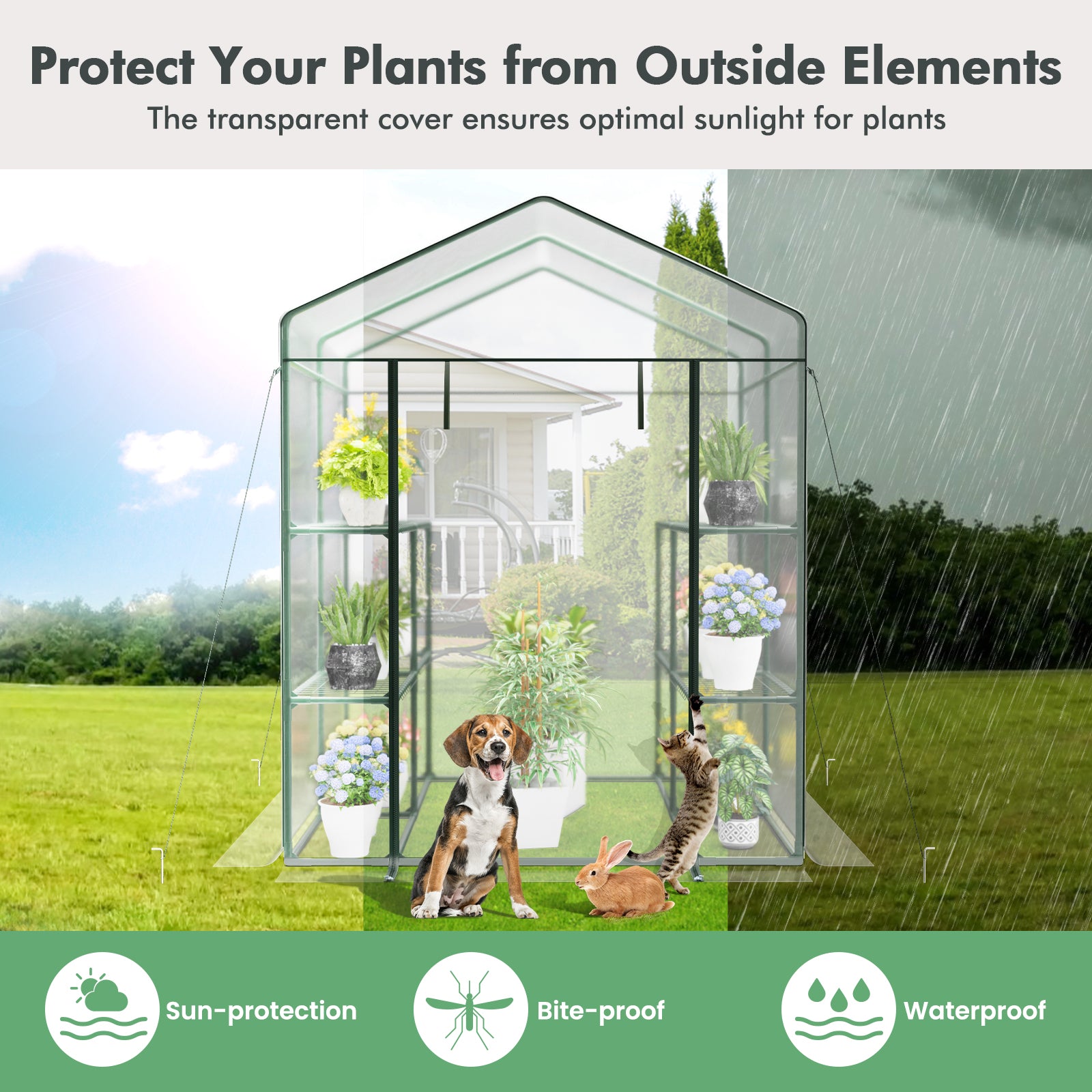 Walk-in Greenhouse with 3 Tiers 8 Shelves PVC Cover Roll-up Zippered Door, Transparent Greenhouses at Gallery Canada