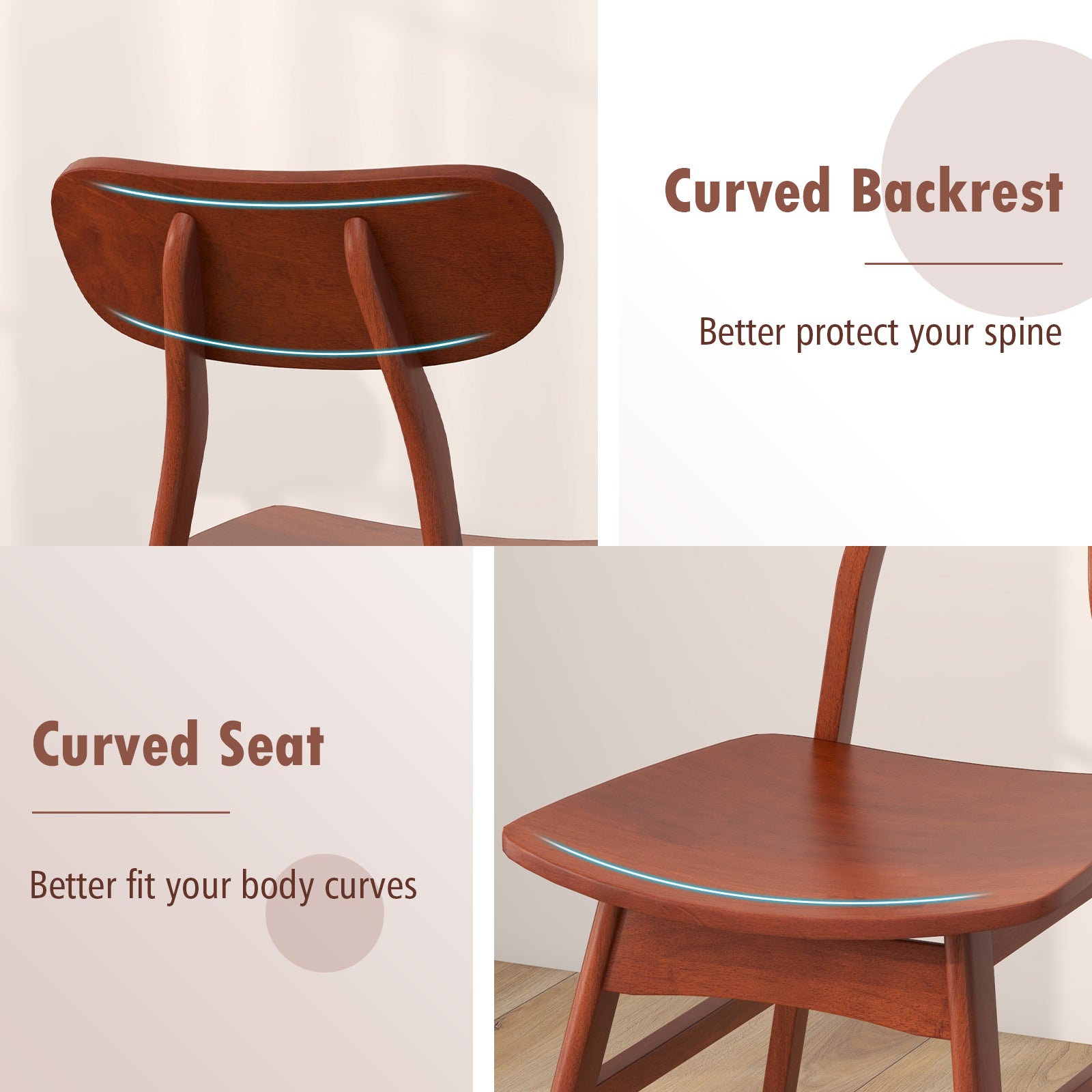 Set of 2 Modern Dining Chairs with Curved Backrest and Seat, Walnut Dining Chairs at Gallery Canada