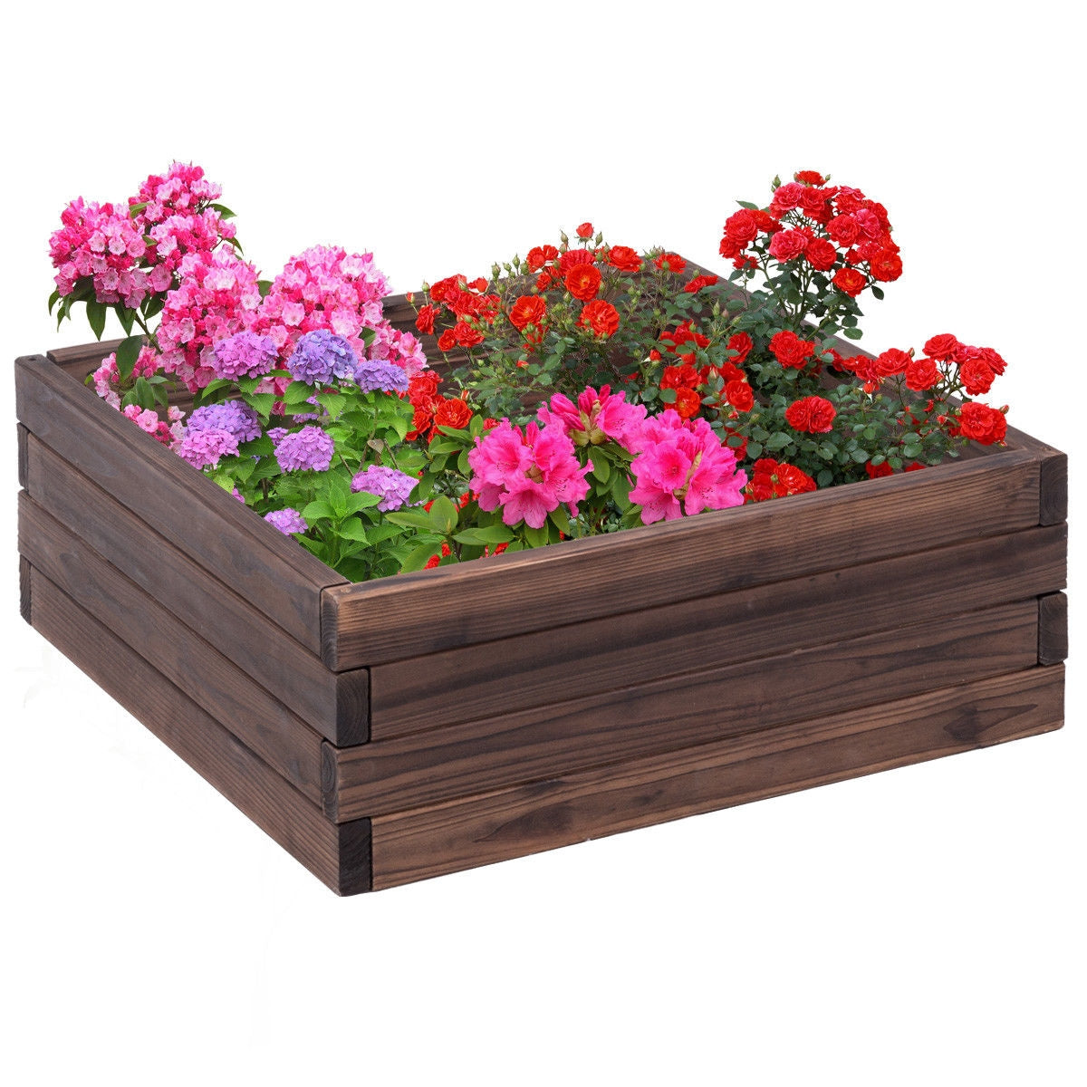 Square Raised Garden Bed Flower Vegetables Seeds Planter Raised Garden Beds Options at Gallery Canada