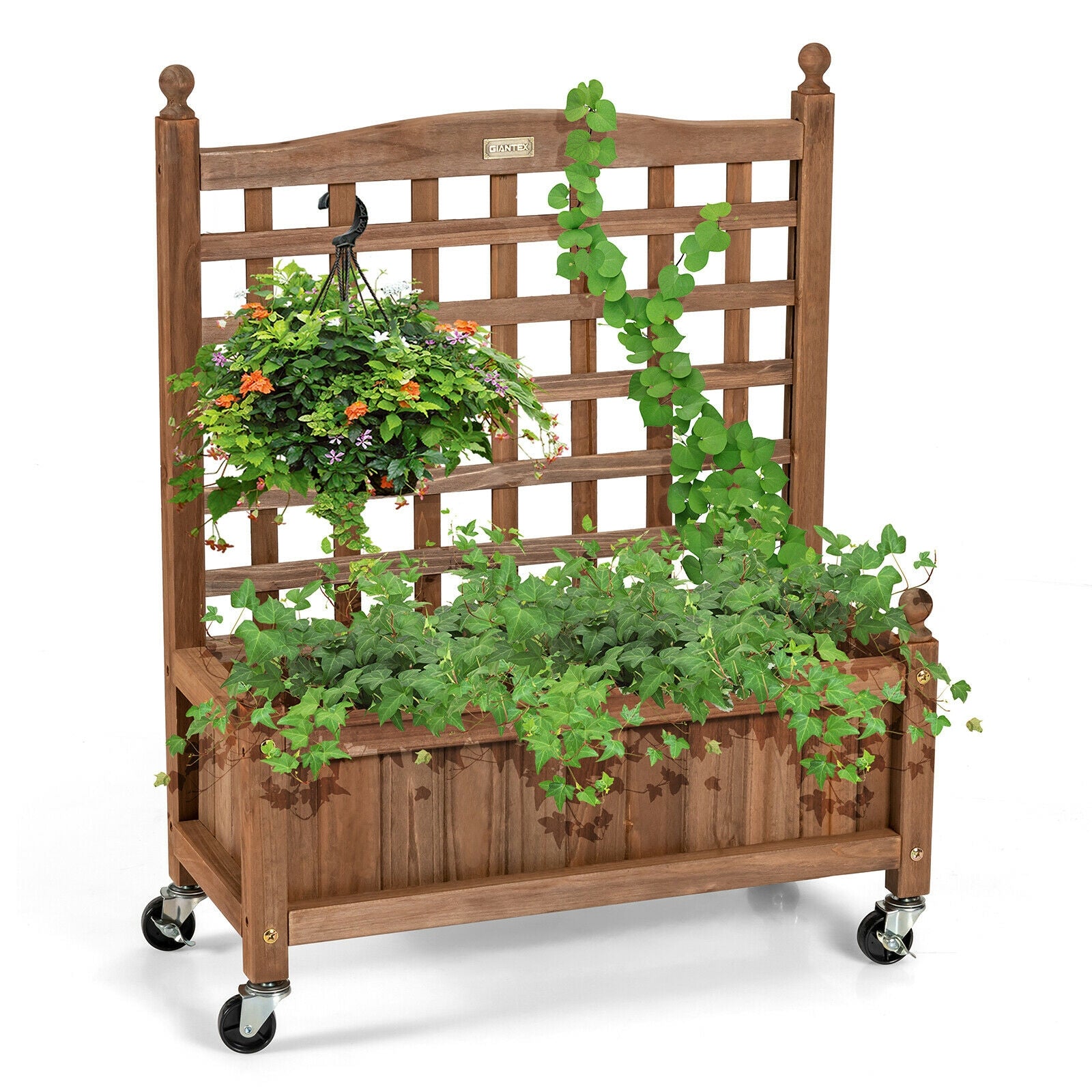 32in Wood Planter Box with Trellis Mobile Raised Bed for Climbing Plant, Brown Raised Garden Beds at Gallery Canada