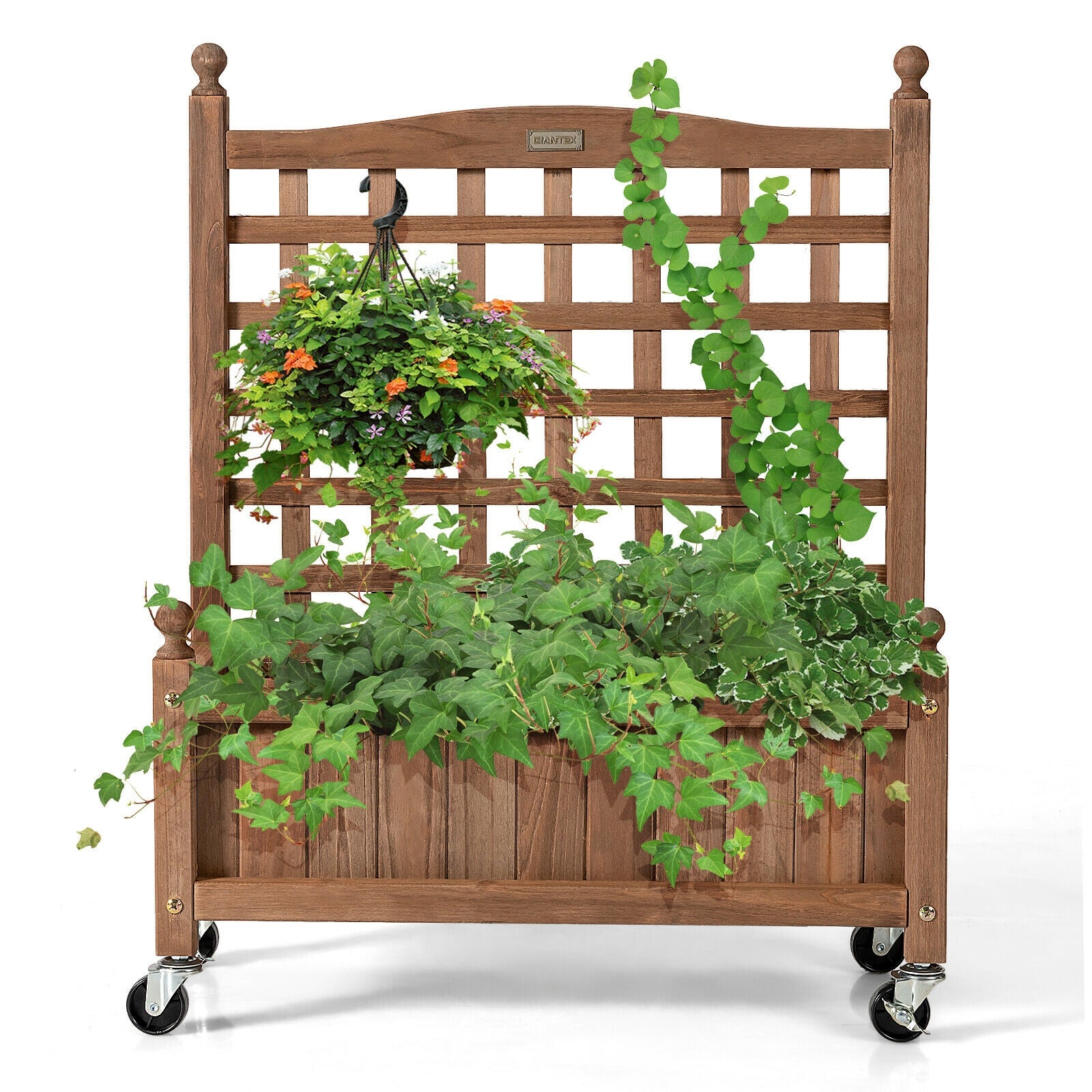 32in Wood Planter Box with Trellis Mobile Raised Bed for Climbing Plant, Brown Raised Garden Beds at Gallery Canada