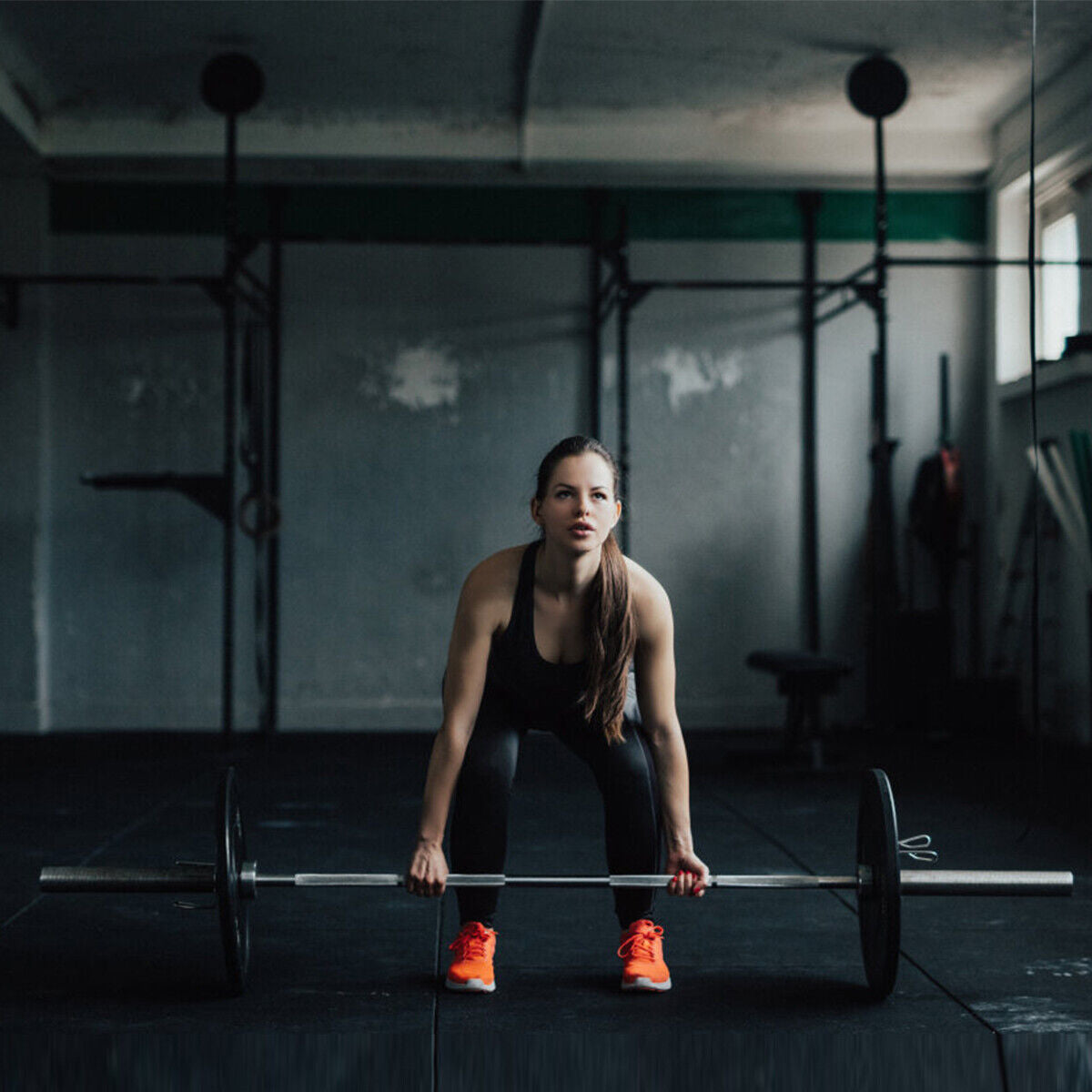 1000 lbs Weight Lifting Barbell, Silver Benches Racks & Bars at Gallery Canada