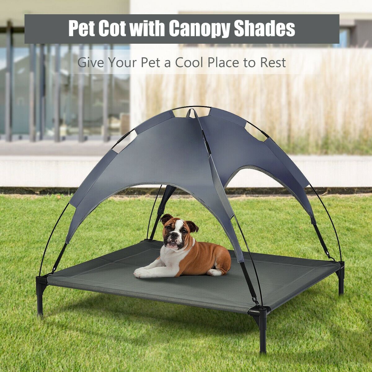 Portable Elevated Outdoor Pet Bed with Removable Canopy Shade-42 Inch, Dark Gray Dog Supplies at Gallery Canada