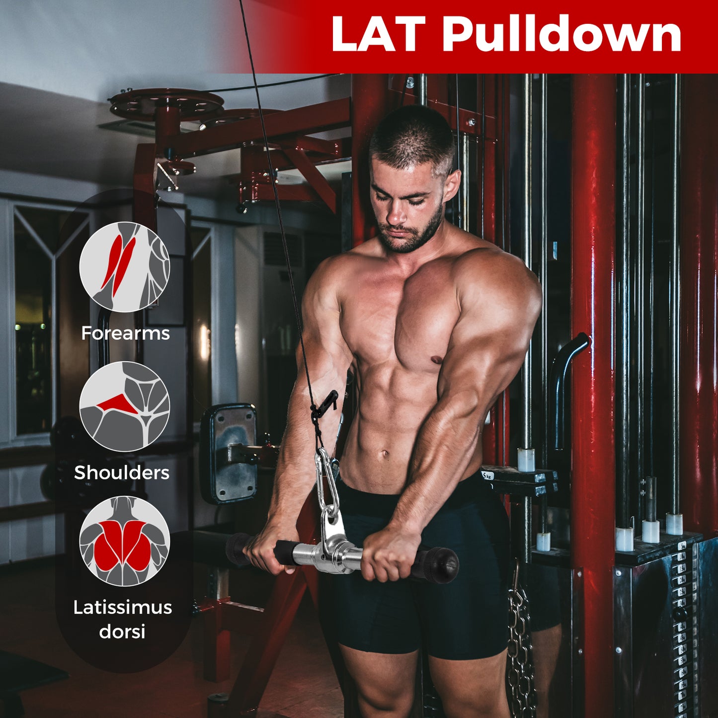 4-Piece Cable Machine Attachment Set for Home Gym Weights Accessories at Gallery Canada