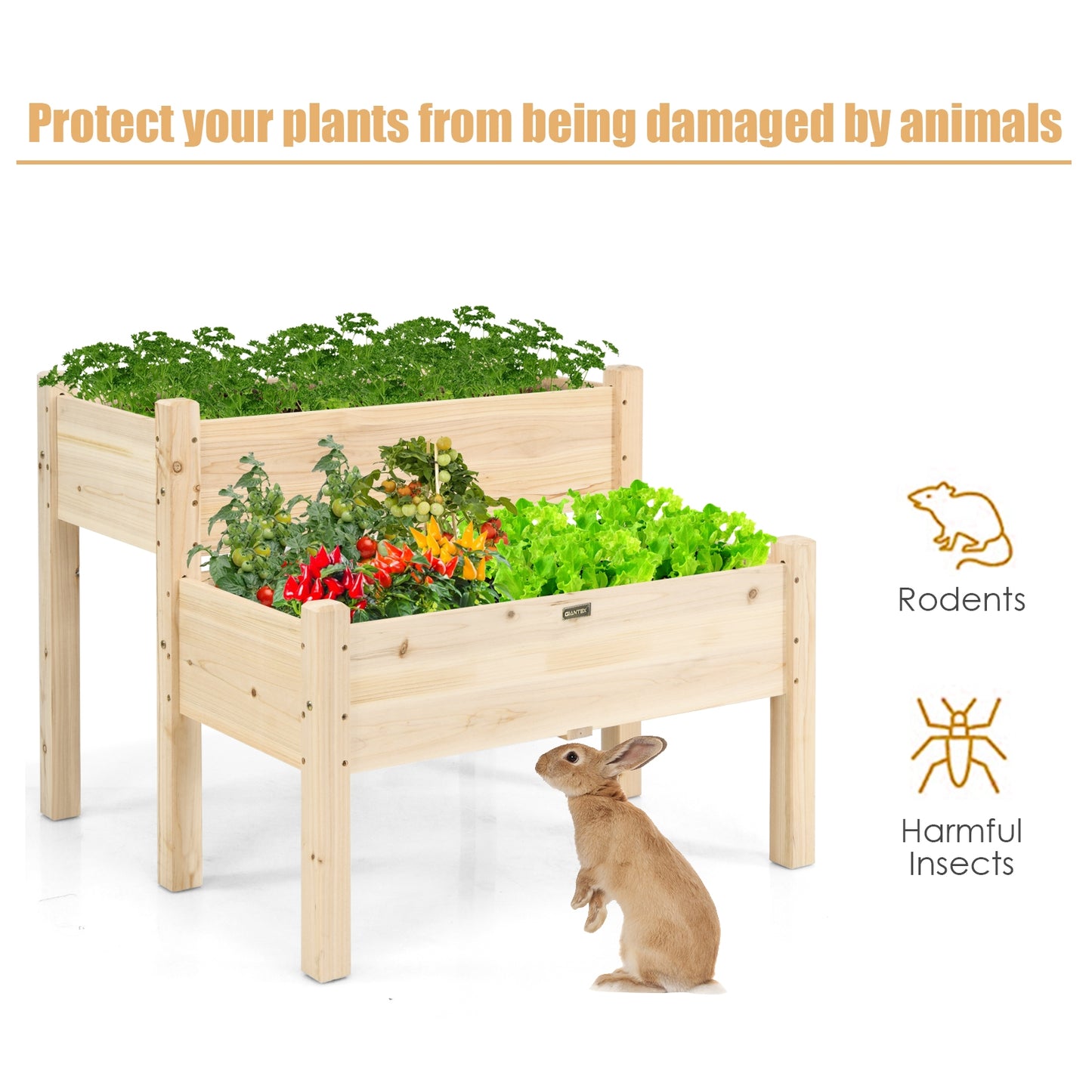 2 Tier Wooden Elevated Planter Box with Legs and Drain Holes, Natural Raised Garden Beds at Gallery Canada