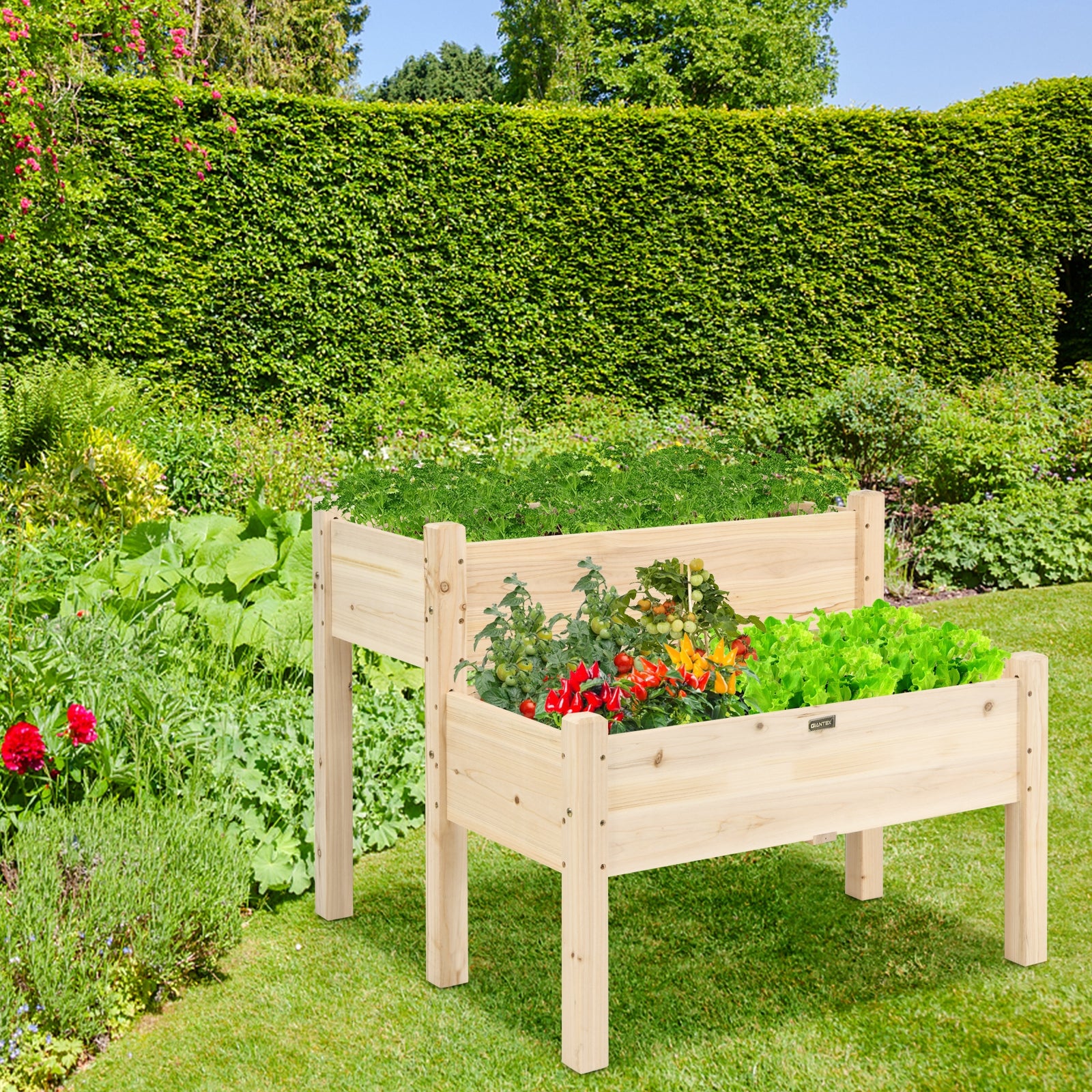 2 Tier Wooden Elevated Planter Box with Legs and Drain Holes, Natural Raised Garden Beds at Gallery Canada