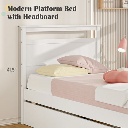 Twin Size Wooden Bed Frame with 2 Drawers for Teens and Adults, White Simple Bed Frame at Gallery Canada