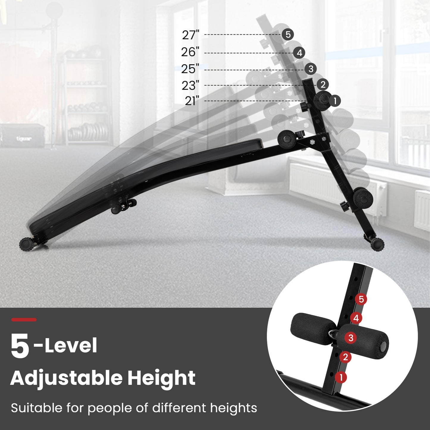 Adjustable Decline Sit Up Bench for Exercise for Home Gym, Black Exercise Machines at Gallery Canada