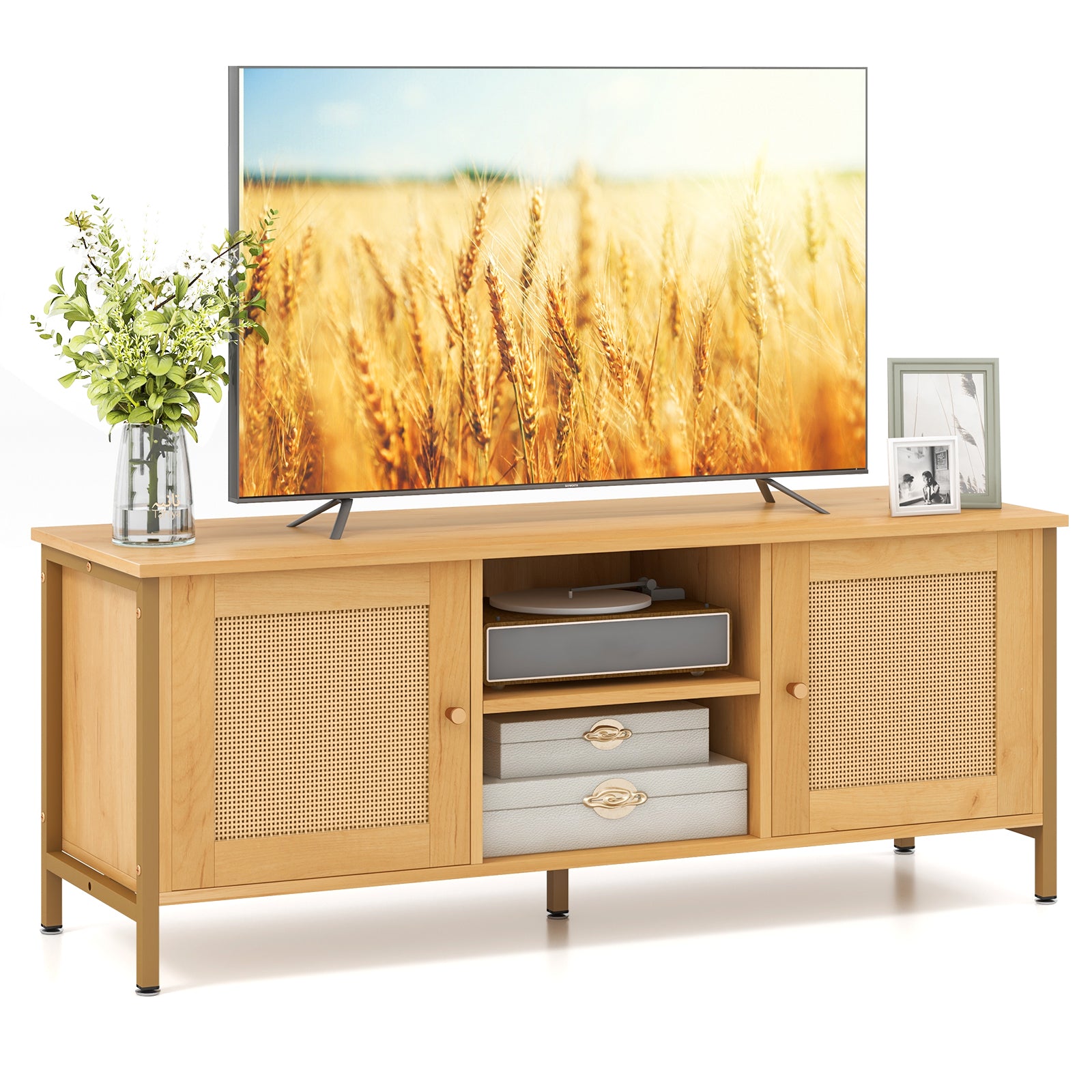 Boho TV Stand for TV up to 55 Inches with Faux Rattan Door, Natural Entertainment Centers & TV Stands at Gallery Canada