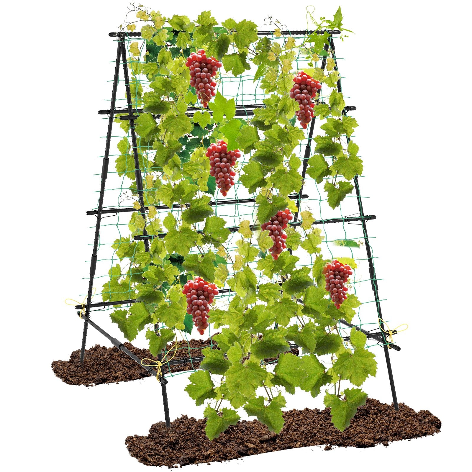 A-Frame Garden Cucumber Trellis with Netting for Climbing Plants Outdoor, Black Raised Garden Beds Black at Gallery Canada