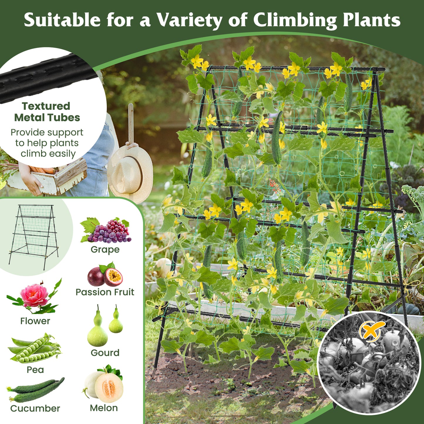 A-Frame Garden Cucumber Trellis with Netting for Climbing Plants Outdoor, Black Raised Garden Beds at Gallery Canada