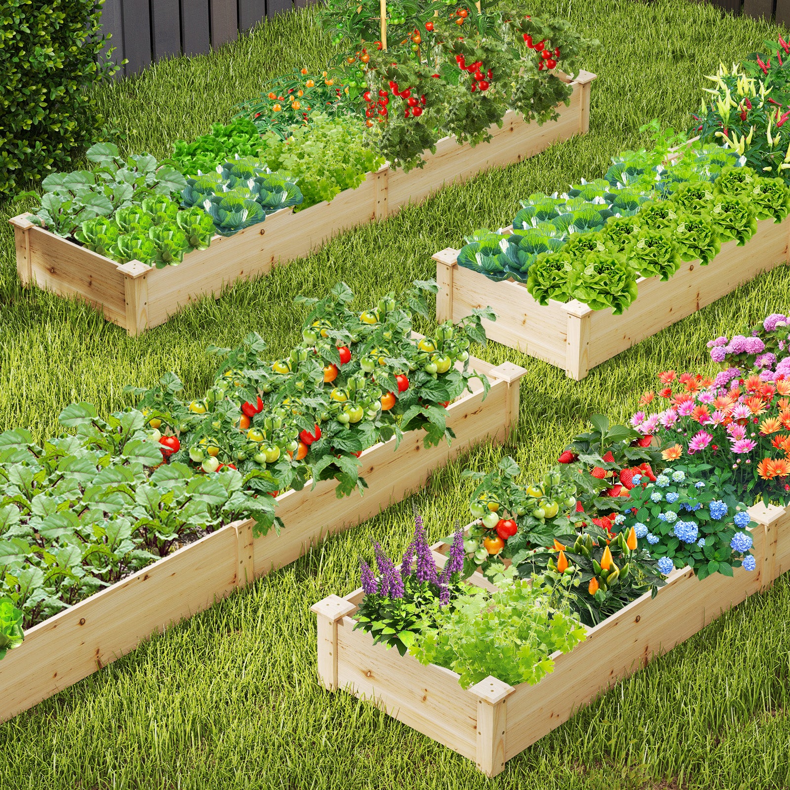 Wooden Raised Garden Bed with 2 Planter Boxes and Dividers, Natural Raised Garden Beds at Gallery Canada