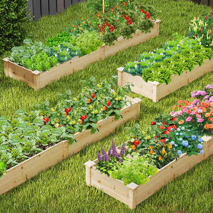 Wooden Raised Garden Bed with 2 Planter Boxes and Dividers, Natural Raised Garden Beds at Gallery Canada