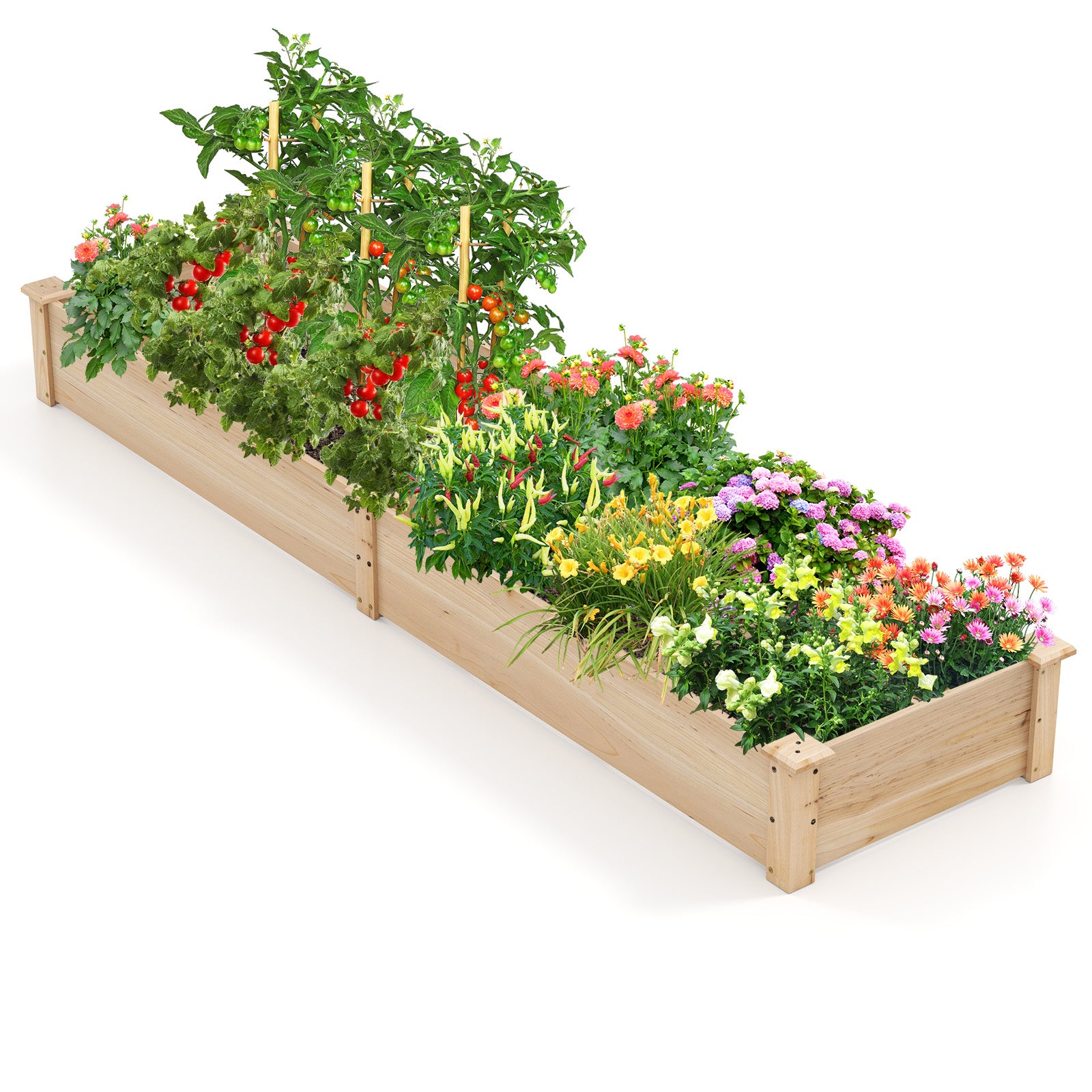 Wooden Raised Garden Bed with 2 Planter Boxes and Dividers, Natural Raised Garden Beds Natural at Gallery Canada