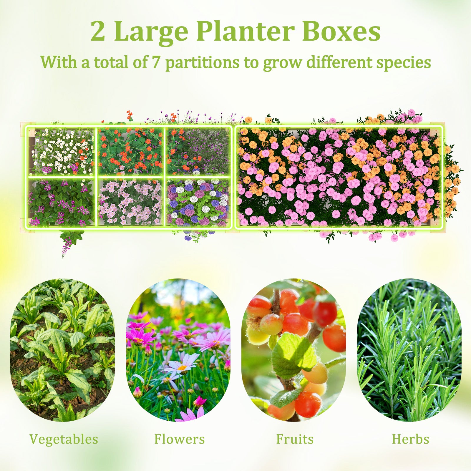 Wooden Raised Garden Bed with 2 Planter Boxes and Dividers, Natural Raised Garden Beds at Gallery Canada