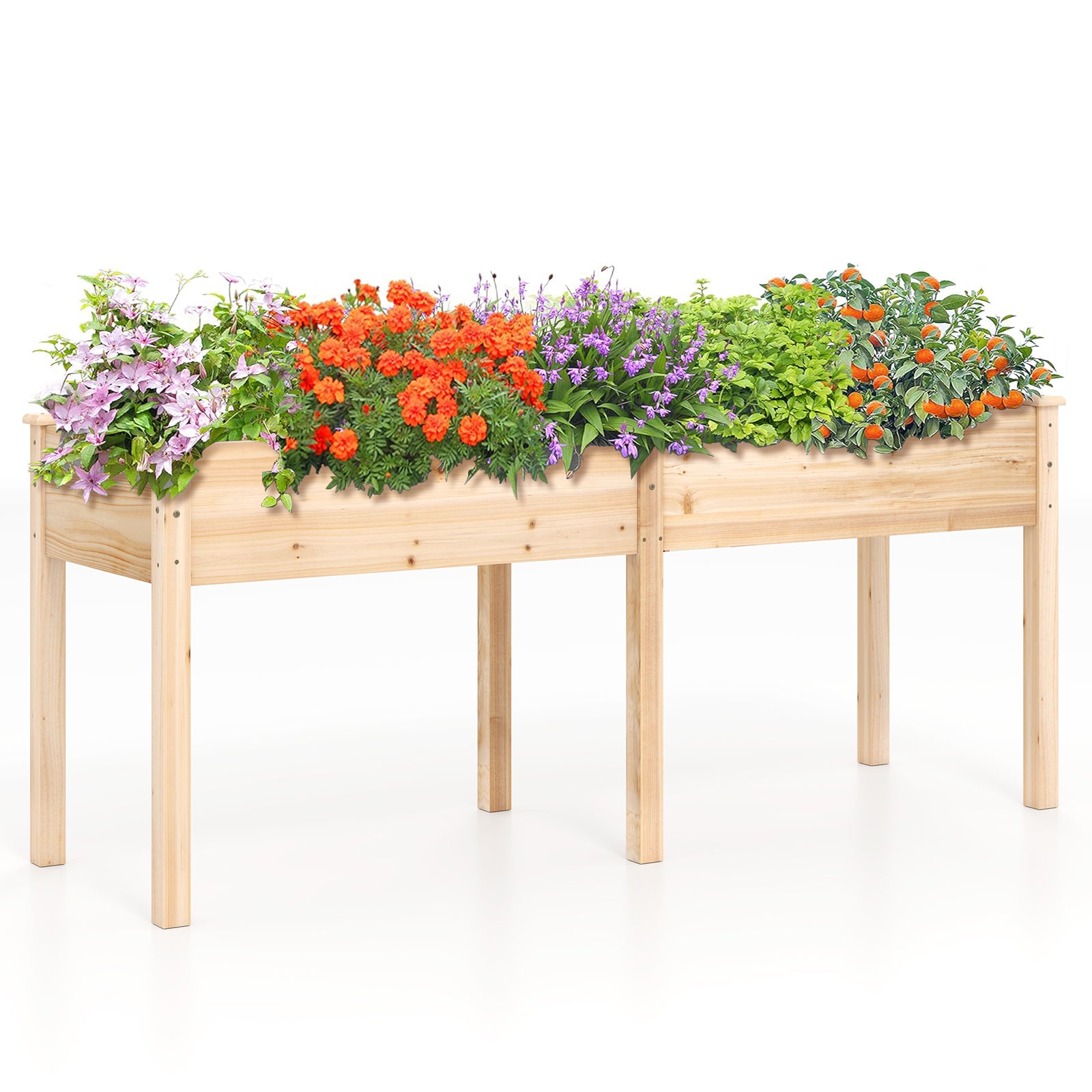 Fir Wood Outdoor Raised Garden Bed with Divider Panel and Drainage Holes, Natural Raised Garden Beds at Gallery Canada