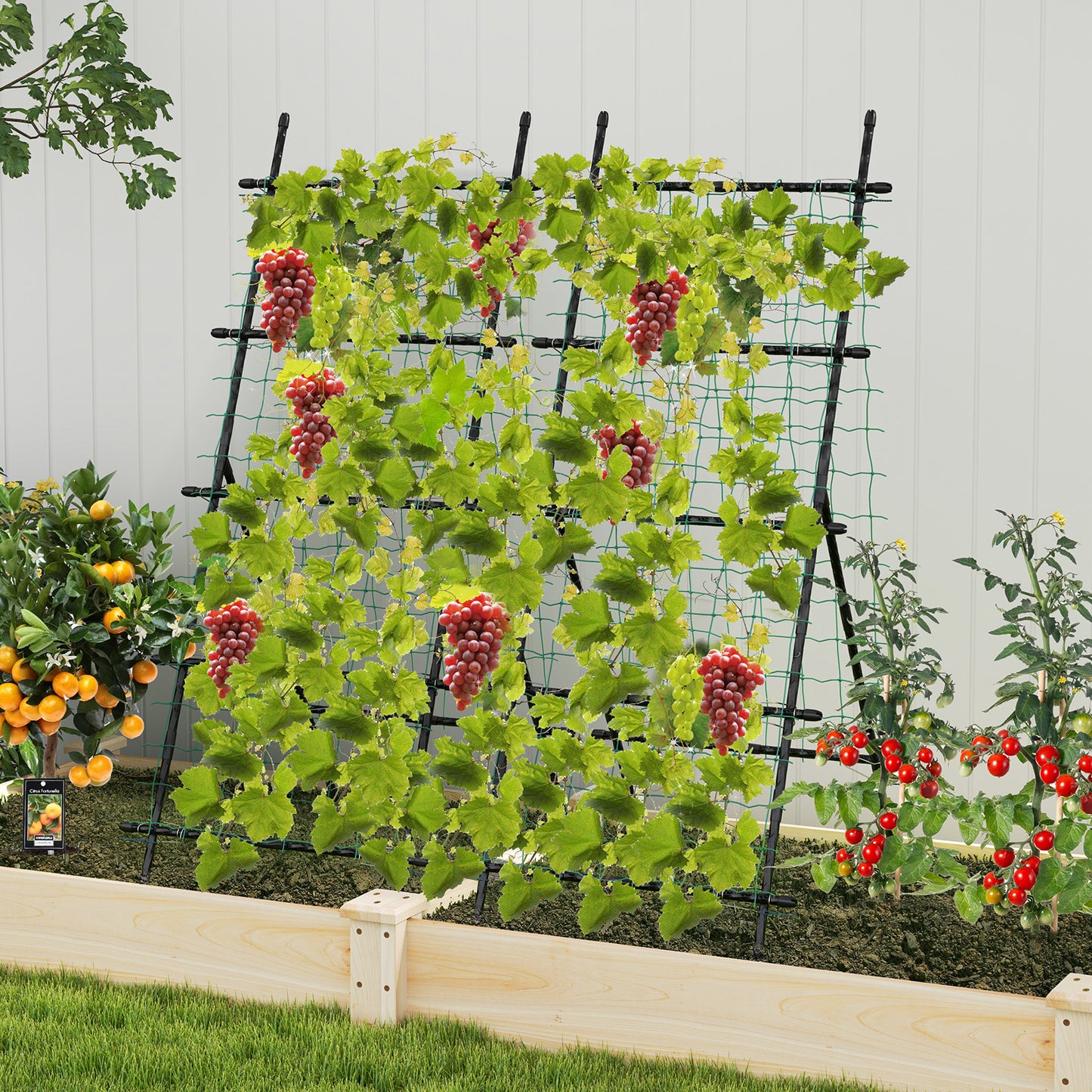 74 Inch Tall Garden Trellis for Flower Vine Vegetable Fruit Pea, Black Plant Supports at Gallery Canada