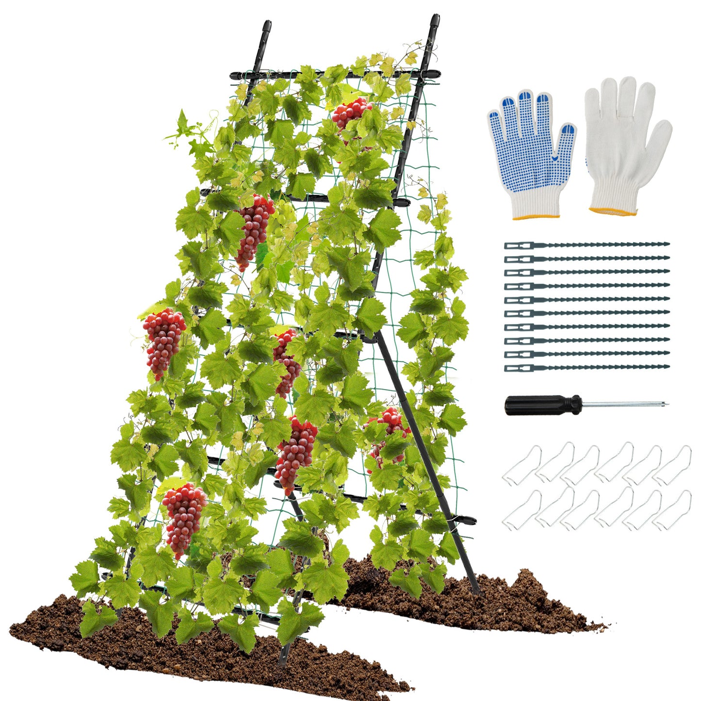 74 Inch Tall Garden Trellis for Flower Vine Vegetable Fruit Pea, Black Plant Supports at Gallery Canada