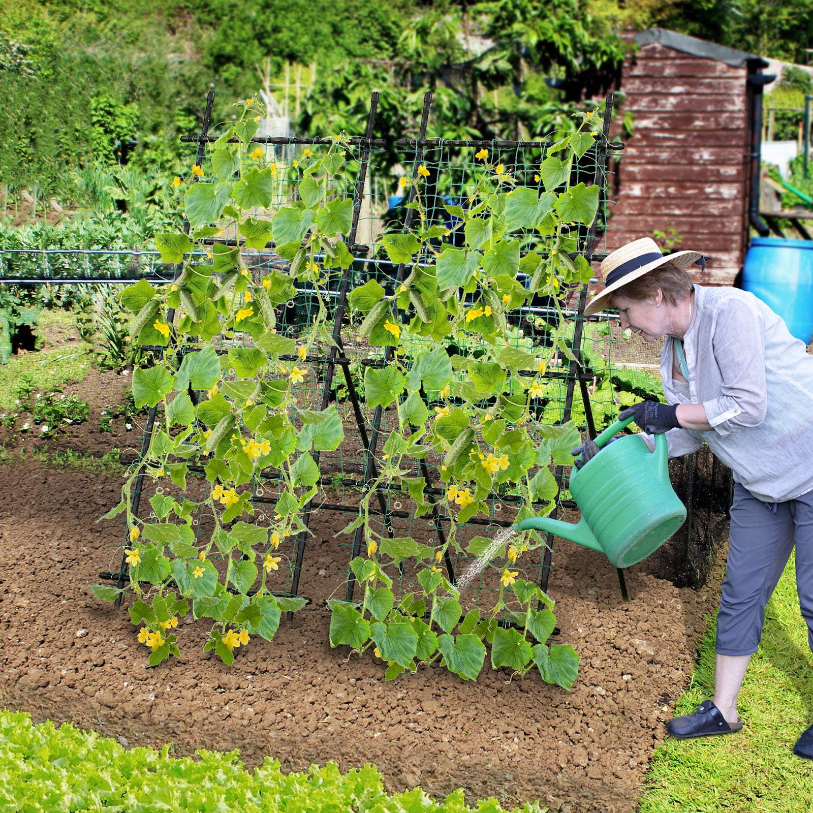 74 Inch Tall Garden Trellis for Flower Vine Vegetable Fruit Pea, Black Plant Supports at Gallery Canada