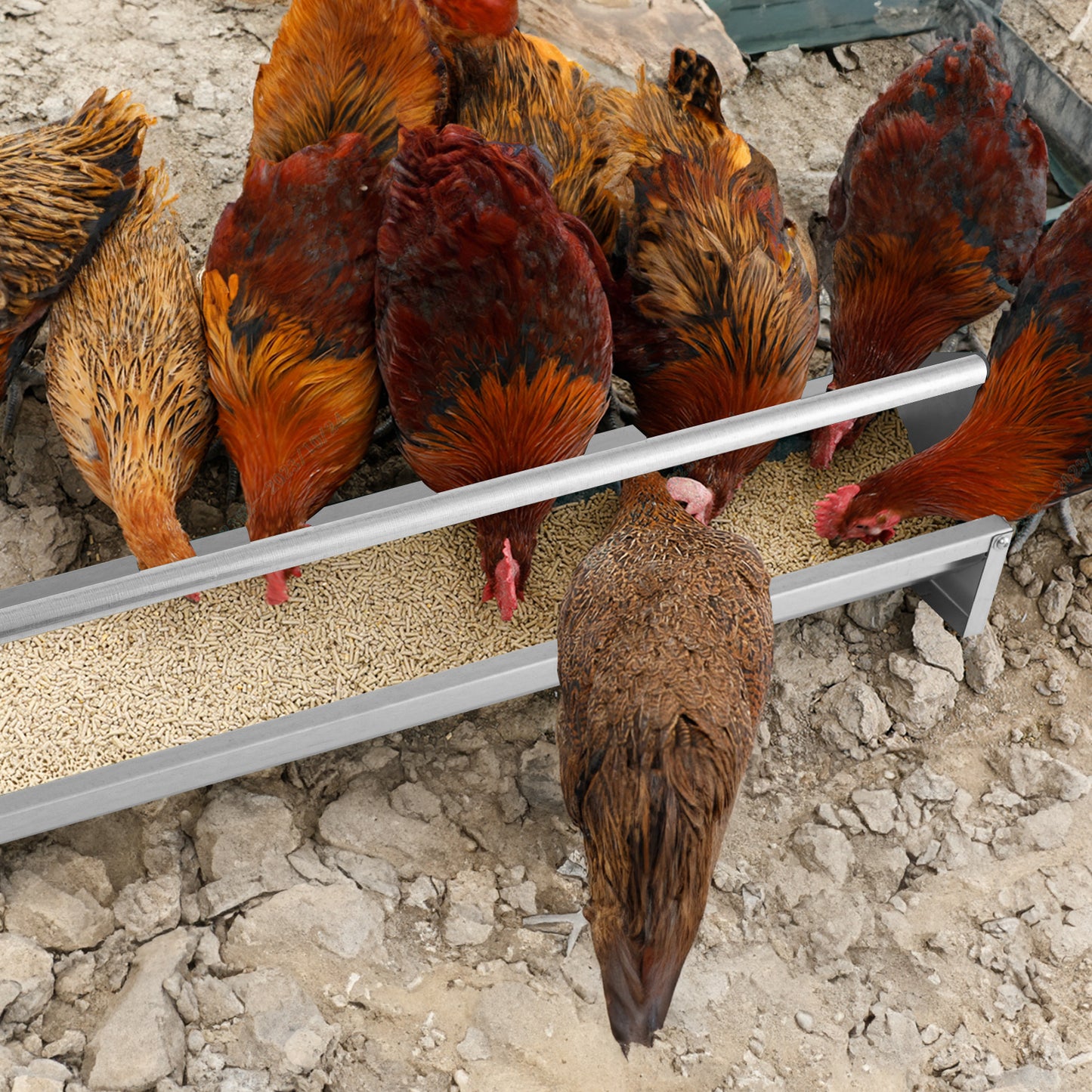 Metal Chicken Feeder With Drainage Holes, Silver Chicken Coops at Gallery Canada