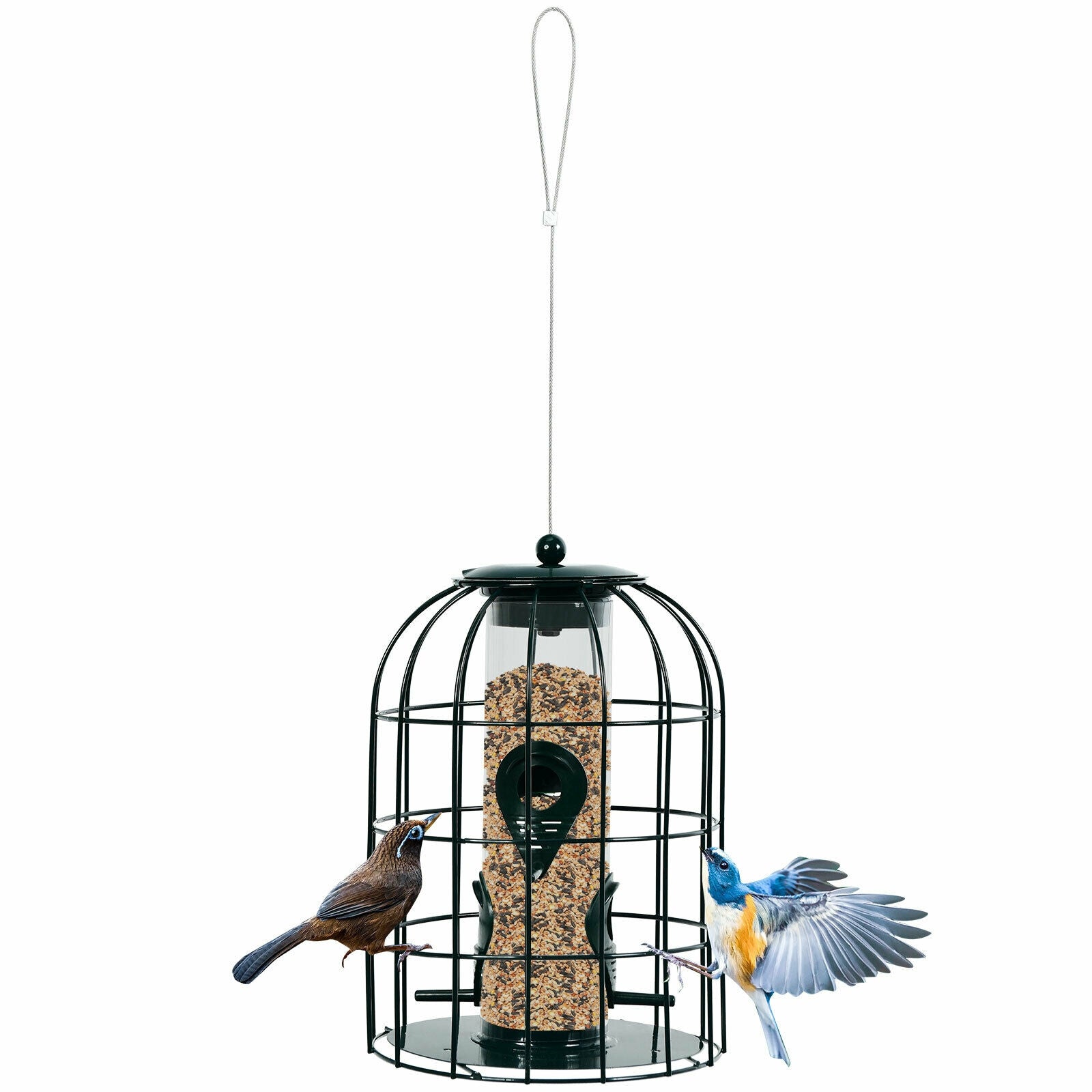 Squirrel-proof Caged Tube Wild Bird Feeder Outdoor Metal Seed Guard Deterrent, Green Bird Supplies at Gallery Canada