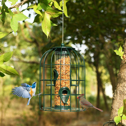 Squirrel-proof Caged Tube Wild Bird Feeder Outdoor Metal Seed Guard Deterrent, Green Bird Supplies at Gallery Canada