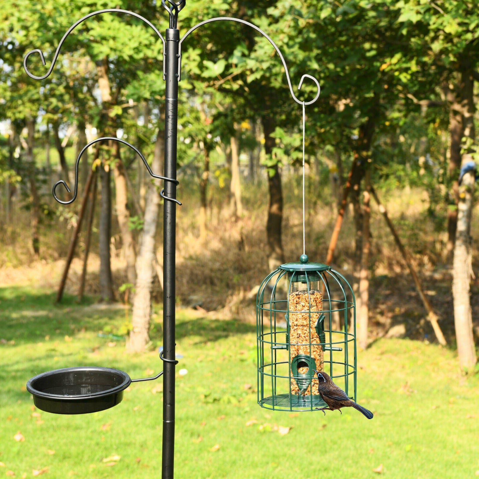 Squirrel-proof Caged Tube Wild Bird Feeder Outdoor Metal Seed Guard Deterrent, Green Bird Supplies at Gallery Canada