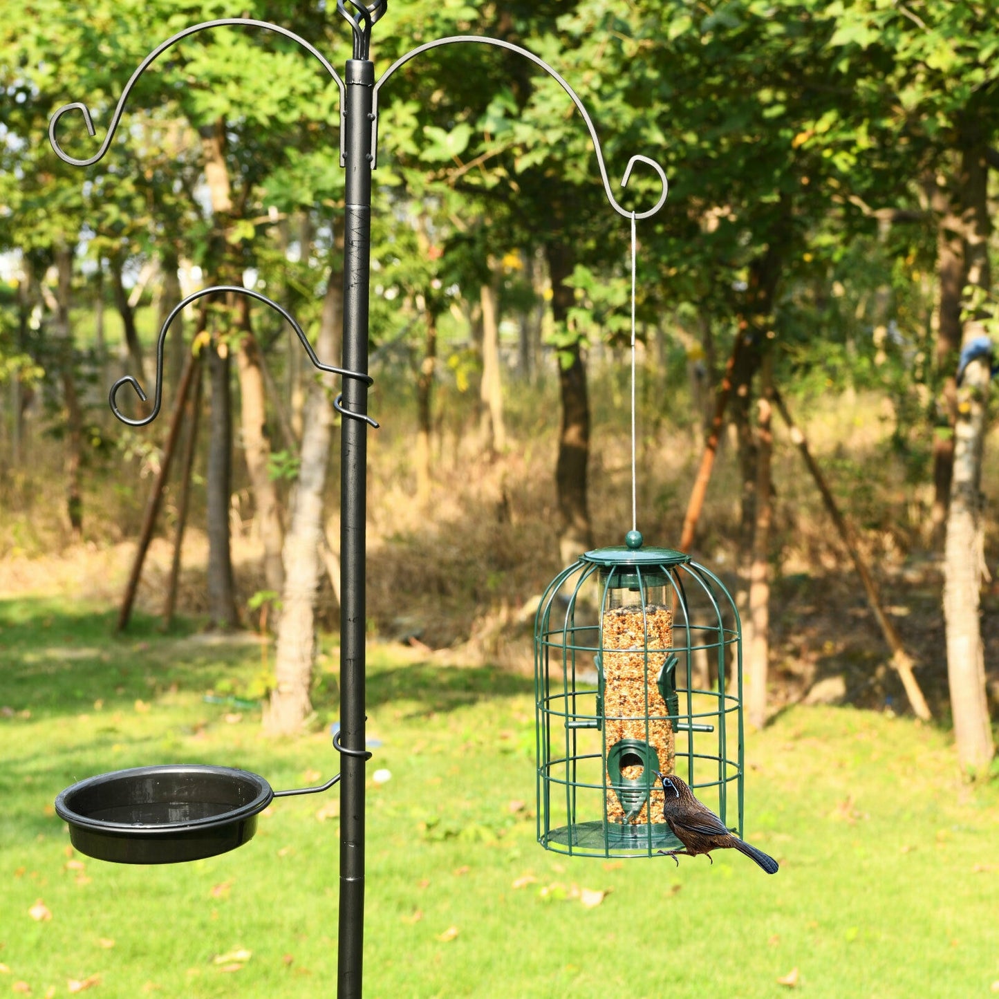 Squirrel-proof Caged Tube Wild Bird Feeder Outdoor Metal Seed Guard Deterrent, Green Bird Supplies at Gallery Canada