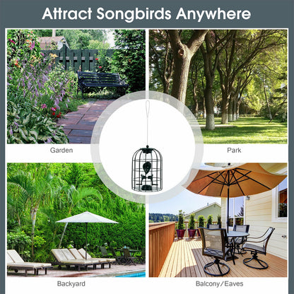 Squirrel-proof Caged Tube Wild Bird Feeder Outdoor Metal Seed Guard Deterrent, Green Bird Supplies at Gallery Canada