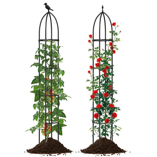 2-Pack Garden Obelisk Trellis For Climbing Plants, Black Raised Garden Beds Black at Gallery Canada