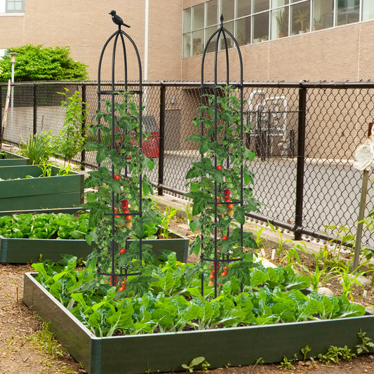 2-Pack Garden Obelisk Trellis For Climbing Plants, Black Raised Garden Beds Black at Gallery Canada