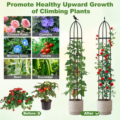 2-Pack Garden Obelisk Trellis For Climbing Plants, Black Raised Garden Beds at Gallery Canada