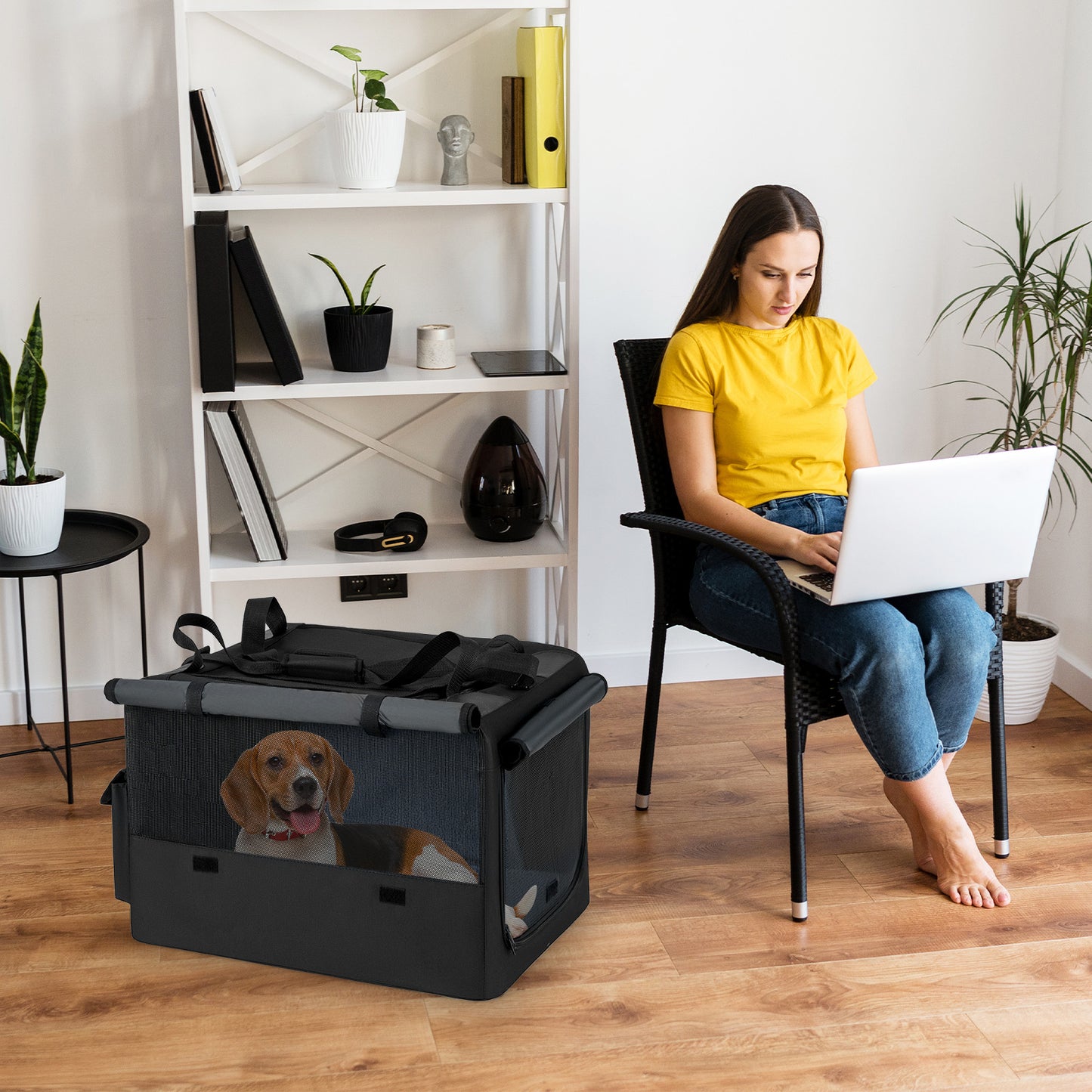Portable Foldable Pet Carrying Bag with 2 Openings and Comfy Cushion-S, Black Dog Supplies at Gallery Canada