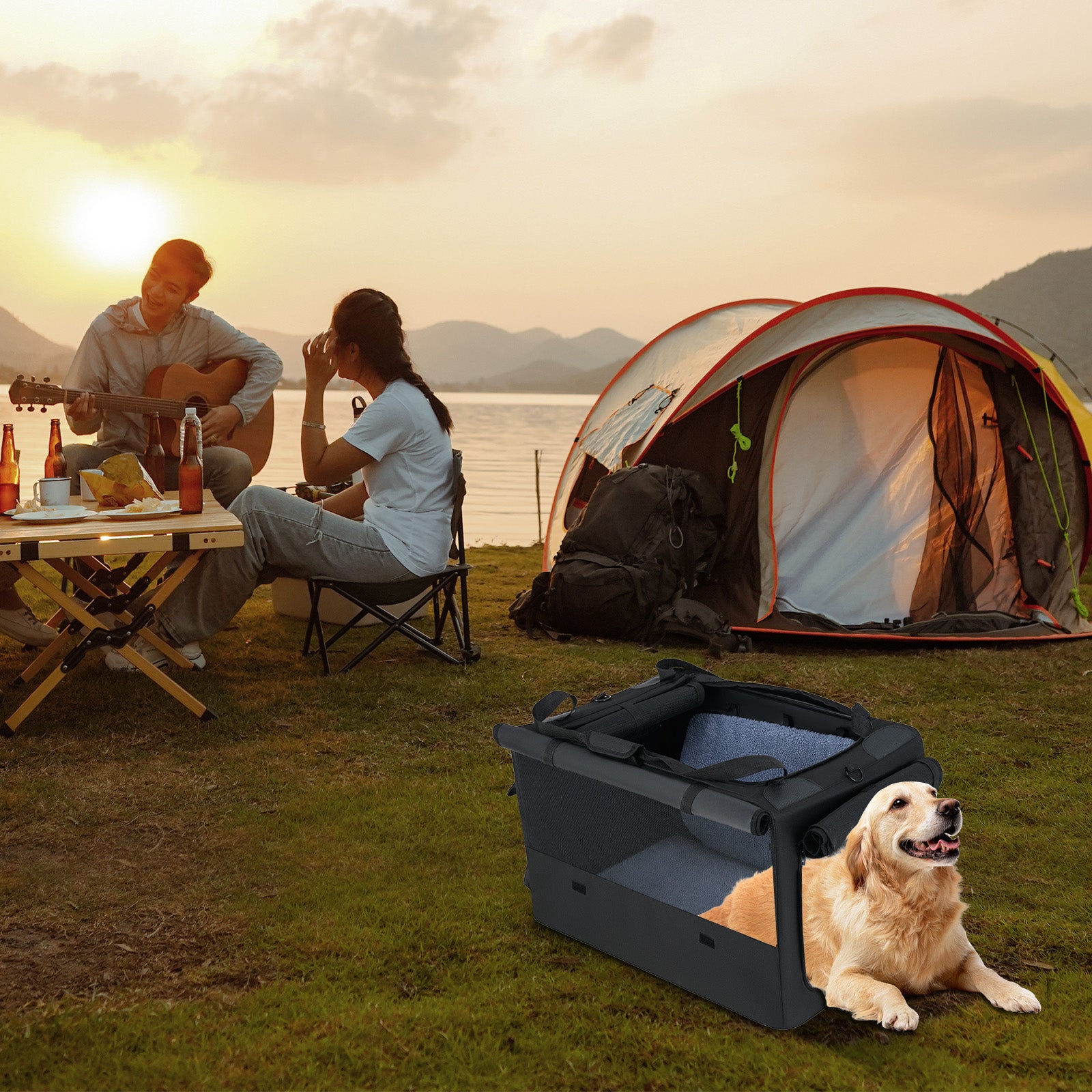 Portable Foldable Pet Carrying Bag with 2 Openings and Comfy Cushion-M, Black Dog Supplies at Gallery Canada