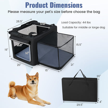 Portable Foldable Pet Carrying Bag with 2 Openings and Comfy Cushion-M, Black Dog Supplies at Gallery Canada