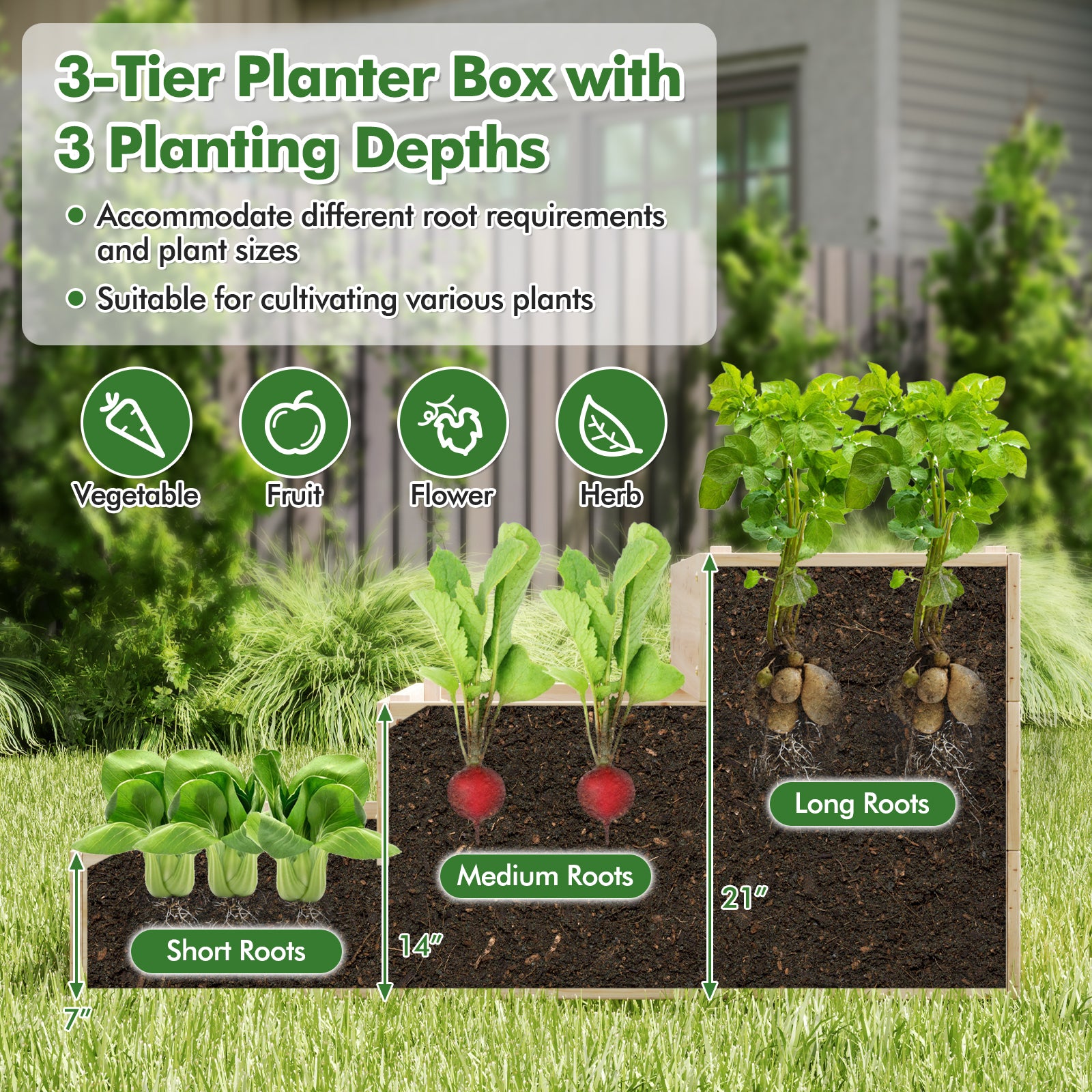 3-Tier Raised Garden Bed with Lattice Trellis and Open-Ended Base, Natural Raised Garden Beds at Gallery Canada