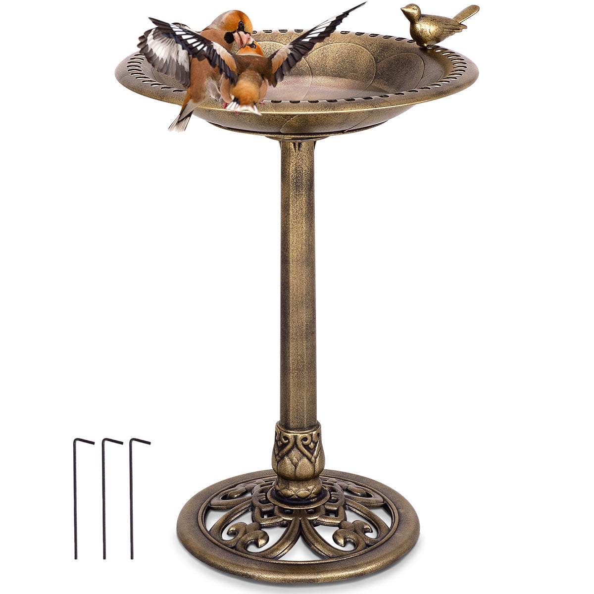 Antique Gold Freestanding Pedestal Bird Bath Feeder, Golden Bird Supplies at Gallery Canada