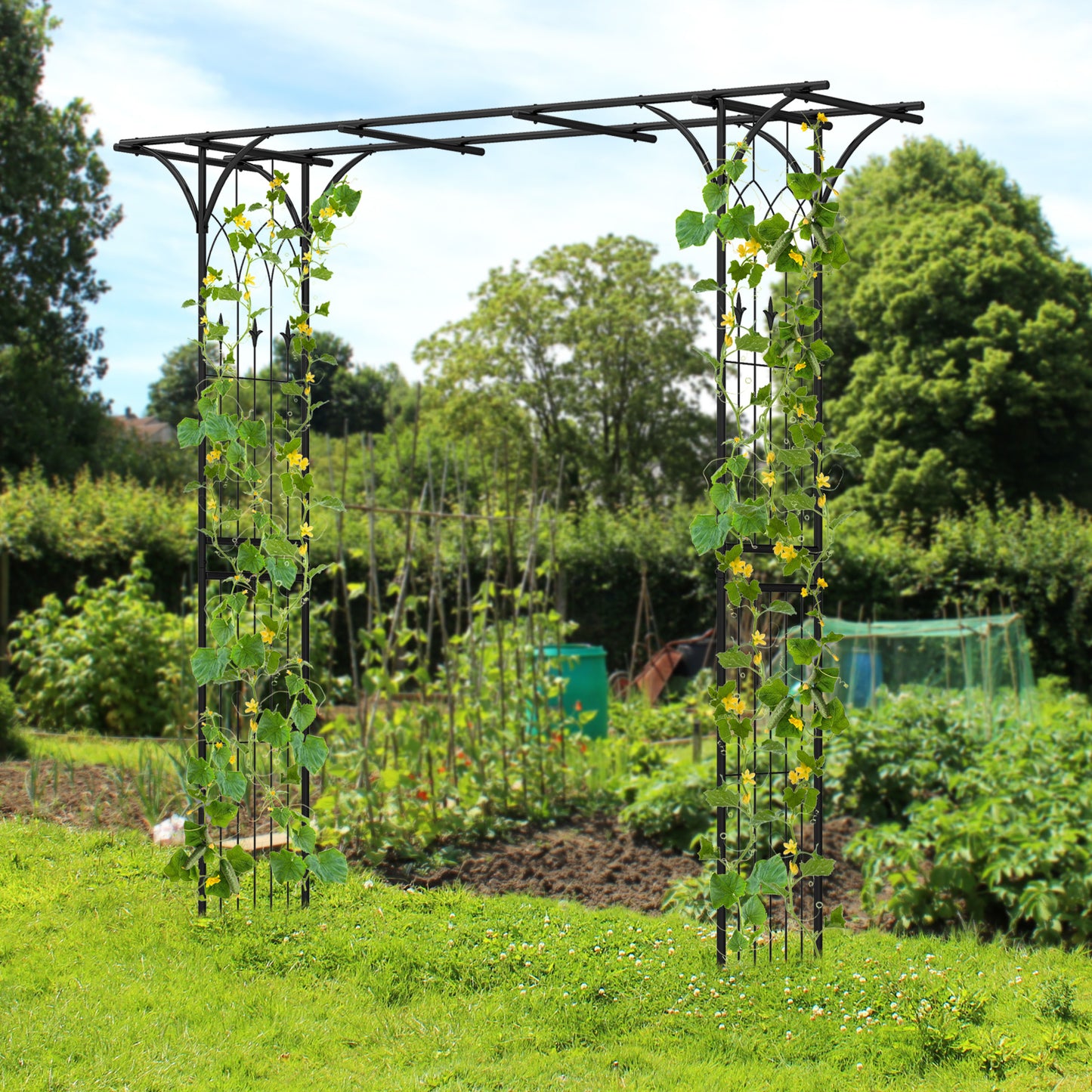 81 x 20 Inch Metal Garden Arch for Various Climbing Plant, Black Outdoor Decor at Gallery Canada