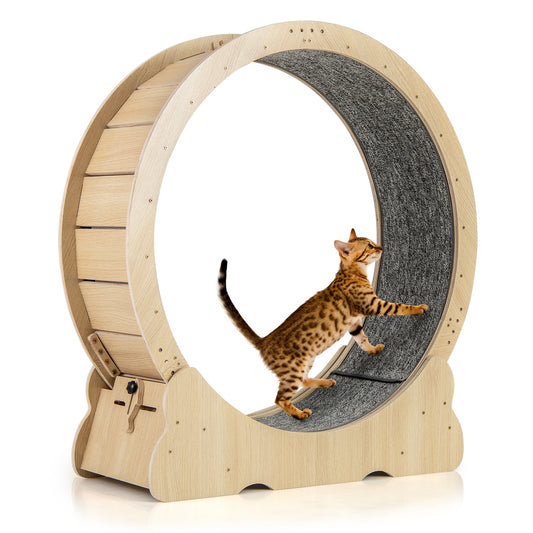 40 Inch Cat Exercise Wheel, Lockable, Carpeted Runway, Natural