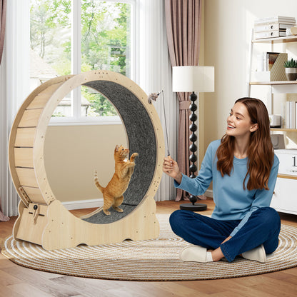 40 Inch Large Cat Exercise Wheel with Lockable Mechanism and Carpeted Runaway for Indoor Cats, Natural Cat Supplies at Gallery Canada