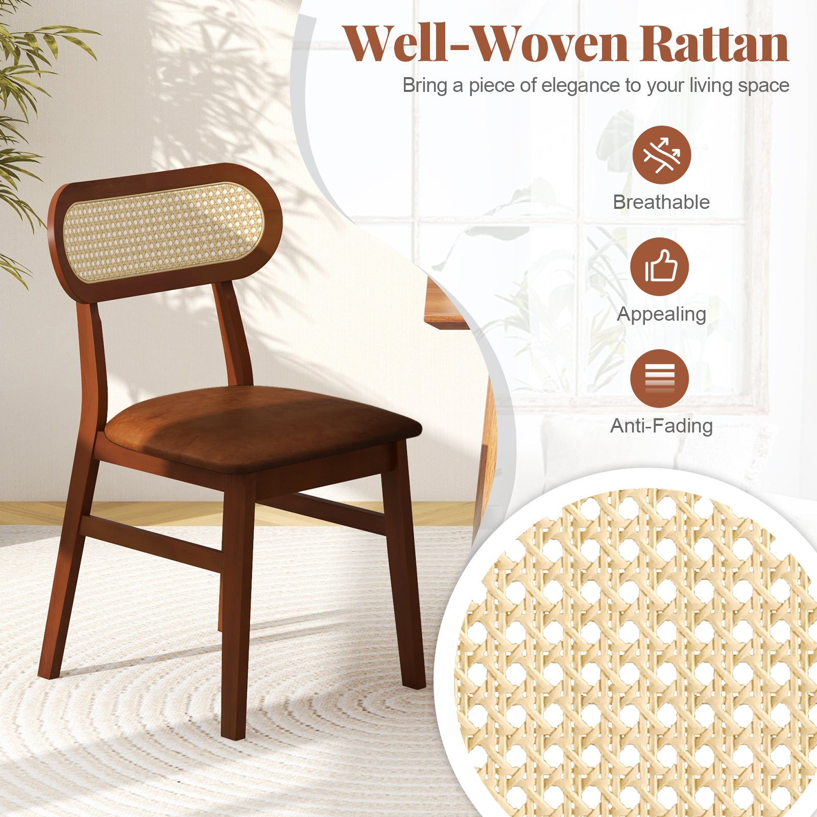 Mid Century Wood Dining Chairs Set of 2, Indoor Dining Chairs at Gallery Canada