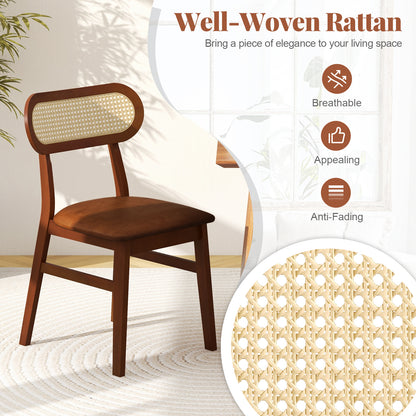 Mid Century Wood Dining Chairs Set of 2, Indoor Dining Chairs at Gallery Canada