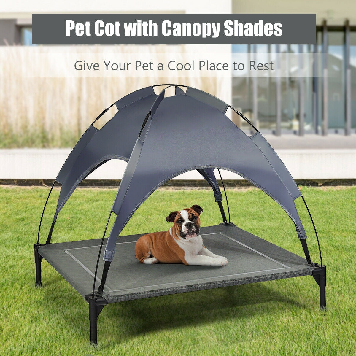 Portable Elevated Outdoor Pet Bed with Removable Canopy Shade-36 Inch, Dark Gray Dog Supplies at Gallery Canada