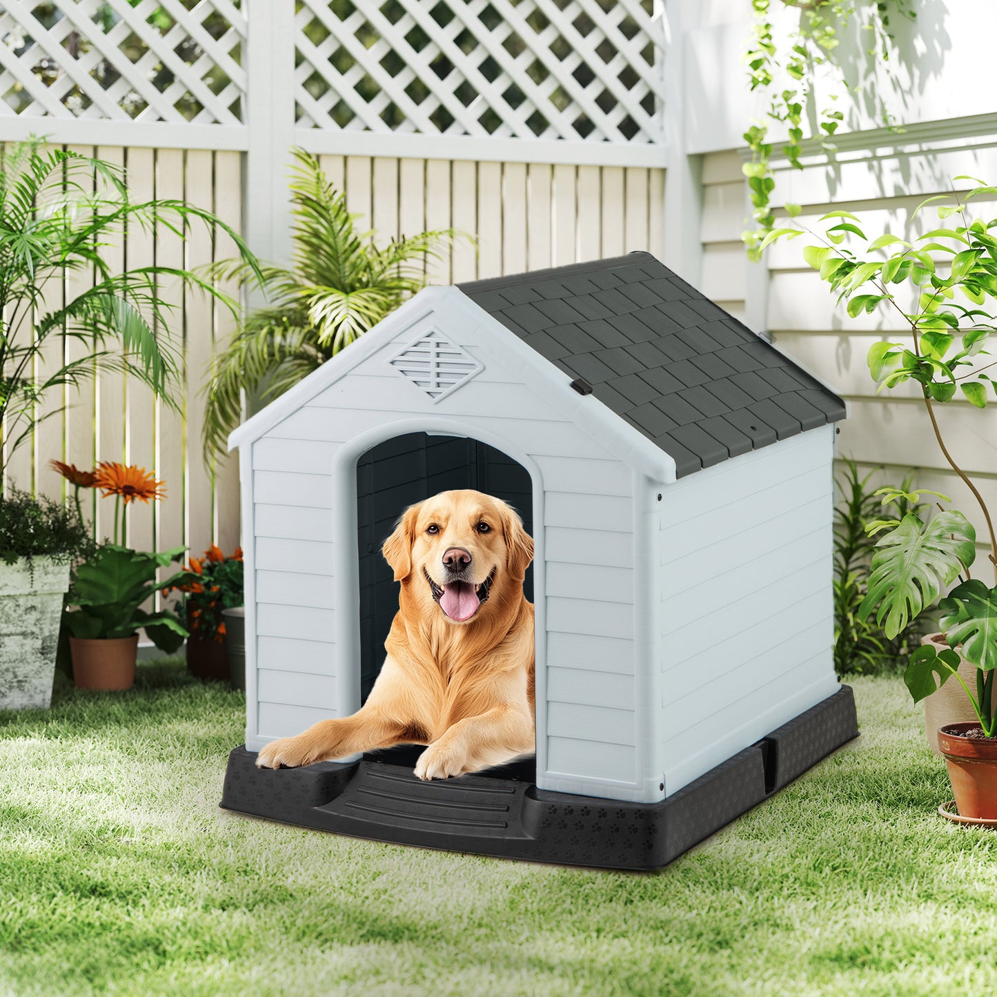 Dog House for Small Dogs Waterproof Plastic with Elevated Floor-M, Gray Dog Kennels at Gallery Canada