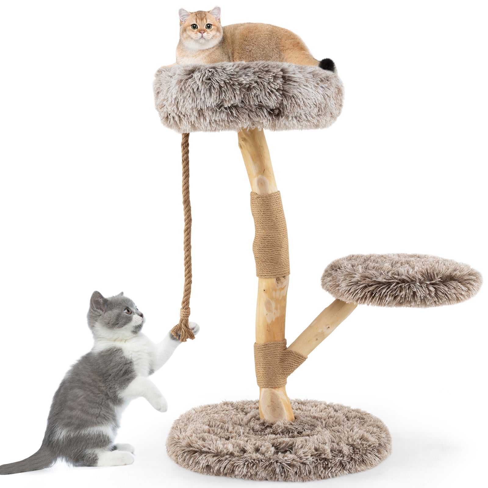 Modern Wooden Cat Tree Tower with Perch and Natural Jute Scratching Posts, Brown Cat Trees Condos & Scratchers Brown at Gallery Canada