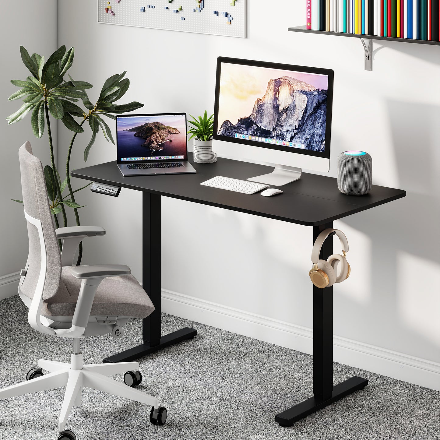 48 Inch x 24 Inch Electric Standing Desk, 3 Memory Settings, Black Standing Desks at Gallery Canada