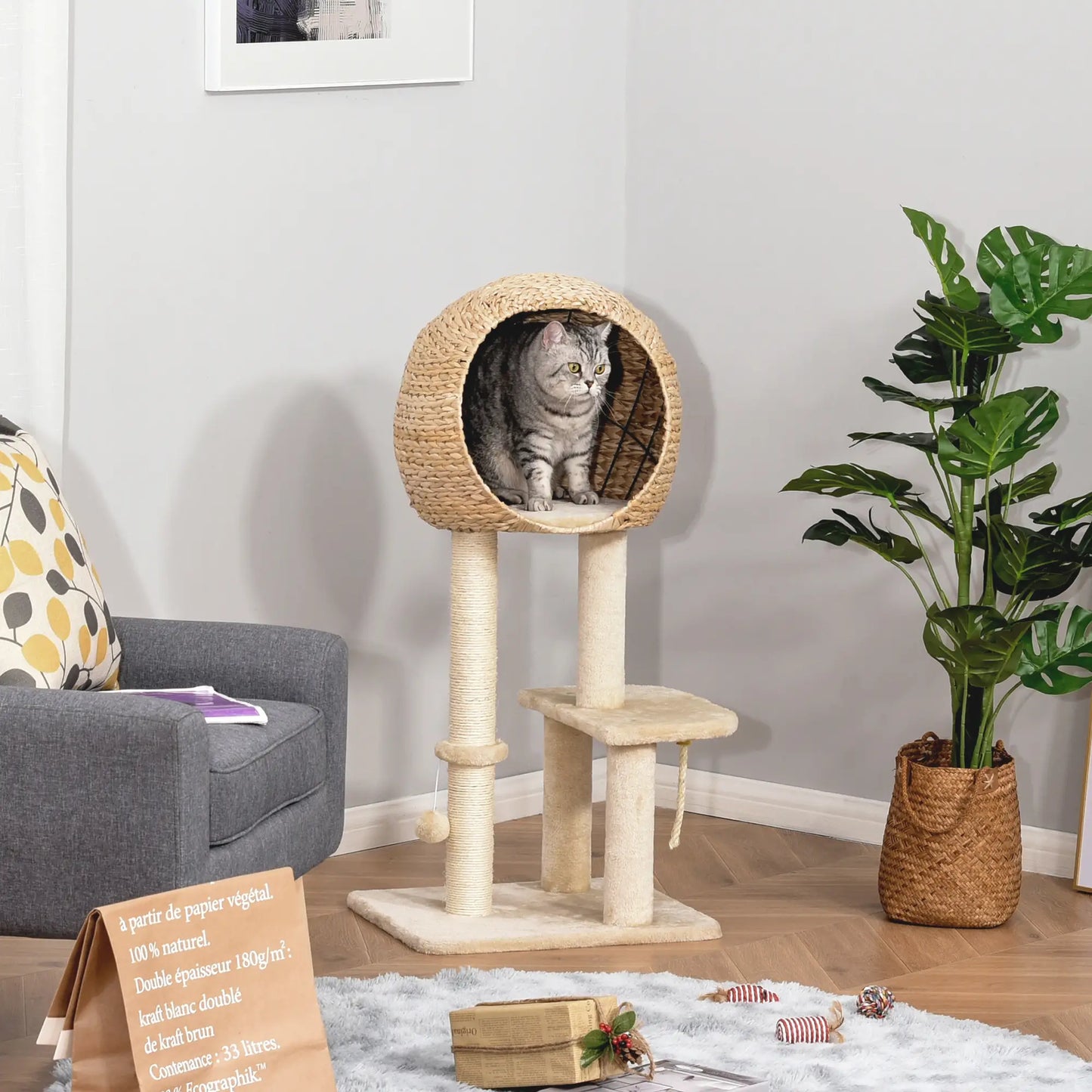 39" Cat Tree with Scratching Post, Condo, Plush Perch, Beige Cat Trees at Gallery Canada