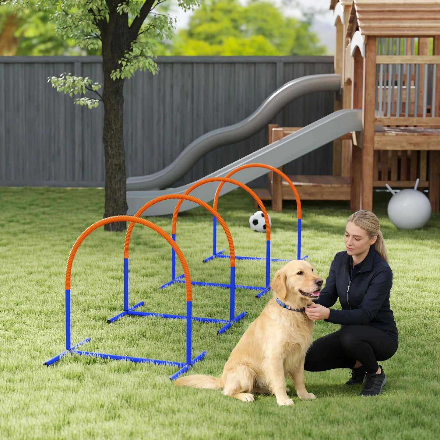 Dog Agility Training Equipment, 4 Pcs Obstacle Course, Blue Dog Agility Training Equipment at Gallery Canada